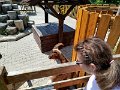 IMG_20250612_141046