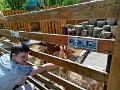 IMG_20250612_141147