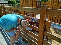 IMG_20250612_141217