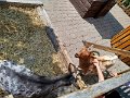 IMG_20250612_141223