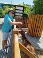 IMG_20250612_141230