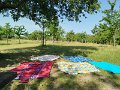 IMG_20250626_091055