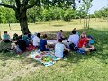 IMG_20250626_104438